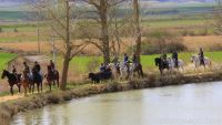 Un grupo de jinetes disfruta del Canal y de sus caballos