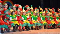 Todas las fotos de la gran fiesta de disfraces de San Vicente