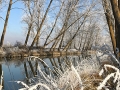IMG-20170101-WA0041