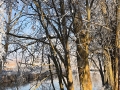 IMG-20170101-WA0042