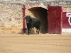 Imagen 046