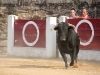 Imagen 050