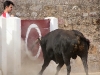 Imagen 051