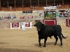 Imagen 052