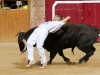Imagen 054