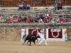 Imagen 083