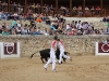 Imagen 085