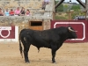 Imagen 086