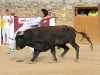 Imagen 108