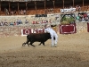 Imagen 128