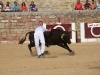 Imagen 166