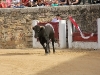 Imagen 173