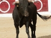 Imagen 193