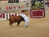 Imagen 236