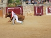 Imagen 239