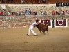 Imagen 245