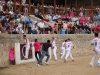 Imagen 255