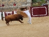 Imagen 312