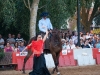 caballo (14)