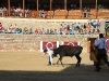 Imagen 285