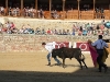 Imagen 286