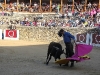 Imagen 439