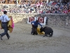 Imagen 453