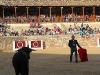 Imagen 506