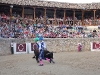 Imagen 540