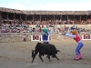 Imagen 542