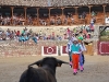 Imagen 545