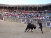 Imagen 599