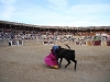 Imagen 608