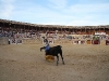 Imagen 609