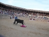 Imagen 612