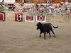 Imagen 751