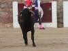 Imagen 768