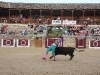 Imagen 800