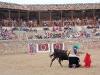 Imagen 833