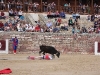Imagen 869
