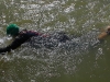 imagen-111