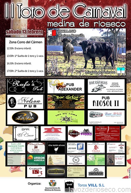 cartel toros carnaval